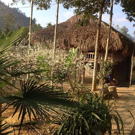 Апартаменты Sa House Bac Ha Экстерьер фото