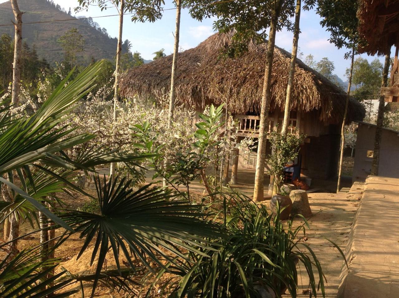 Апартаменты Sa House Bac Ha Экстерьер фото