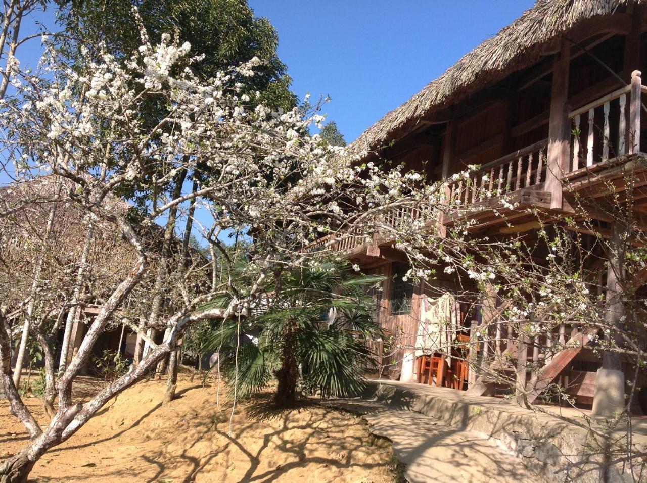 Апартаменты Sa House Bac Ha Экстерьер фото